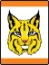 Bobcat Tiger adventure loop