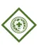 Champions for Nature Webelos adventure loop