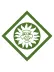 Summertime Fun Webelos adventure loop